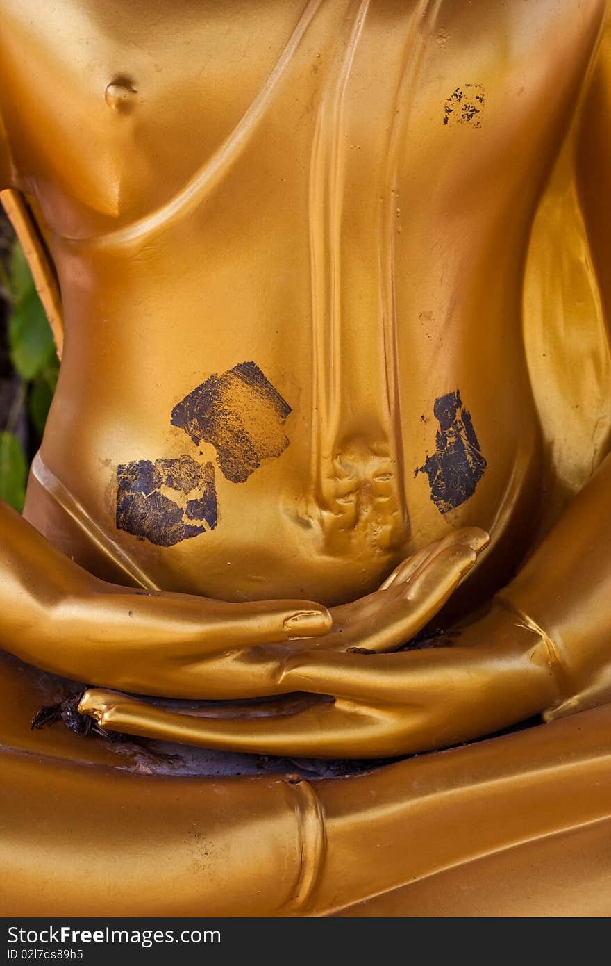 Hand of the golden buddha