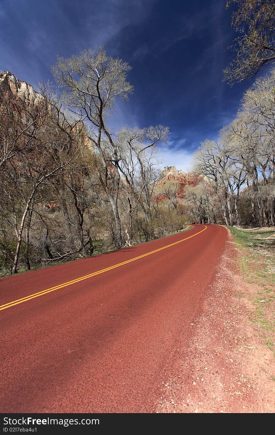 Beautiful red road with double yellow lines in zion national park.Utah