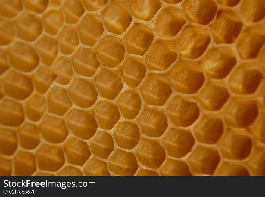 Cells of honey comb as background or texture. Cells of honey comb as background or texture