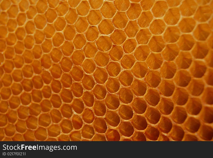 Cells of honey comb as background or texture. Cells of honey comb as background or texture