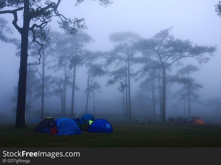 Tent and the mist