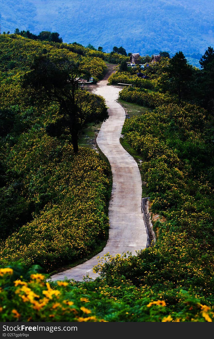 Road on the mountain