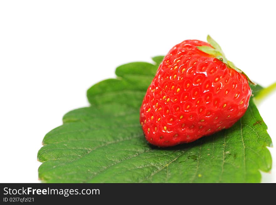 Beautiful one strawberries on a white background. Beautiful one strawberries on a white background.