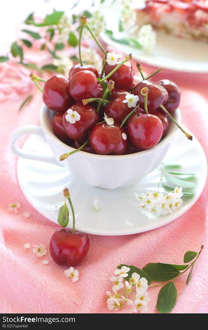 A cup of cherry with flower on pink background. A cup of cherry with flower on pink background