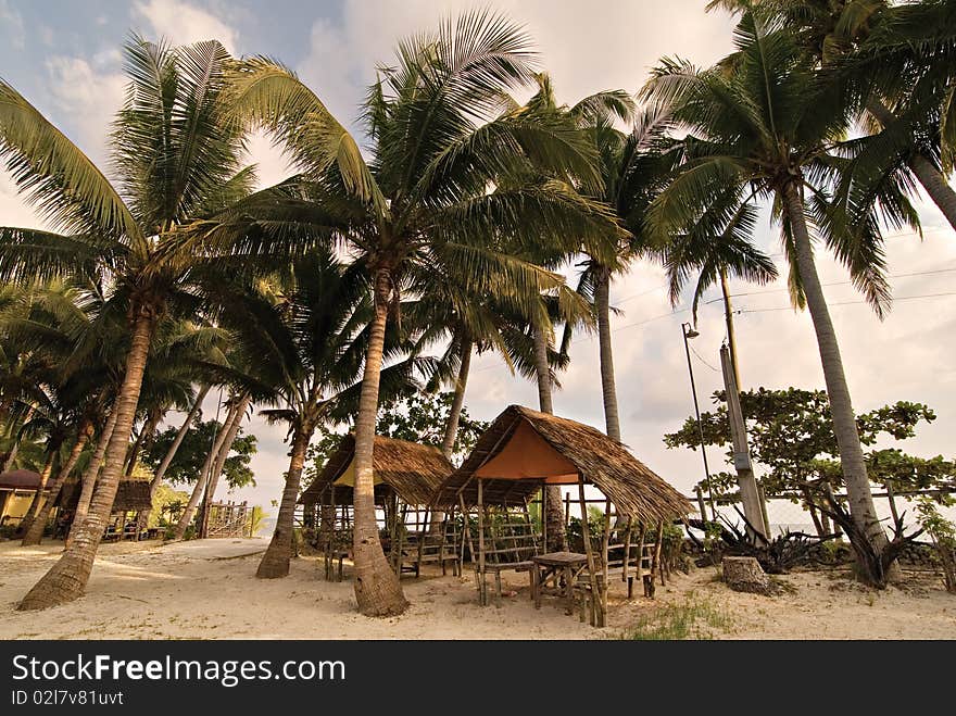 Beach Outdoor Huts Surrounded by Coconut Trees