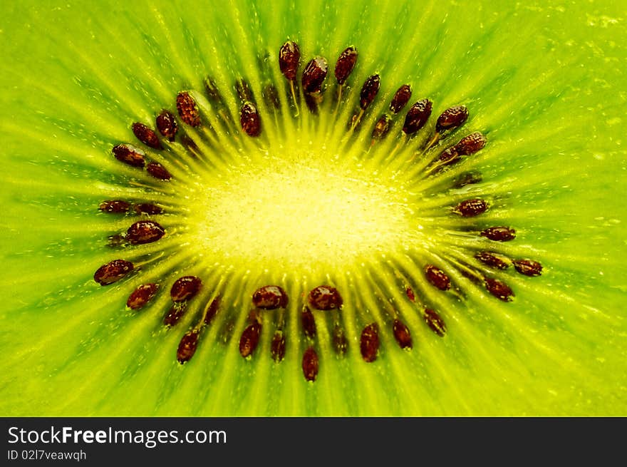 A closeup of a fresh kiwi fruit. A closeup of a fresh kiwi fruit