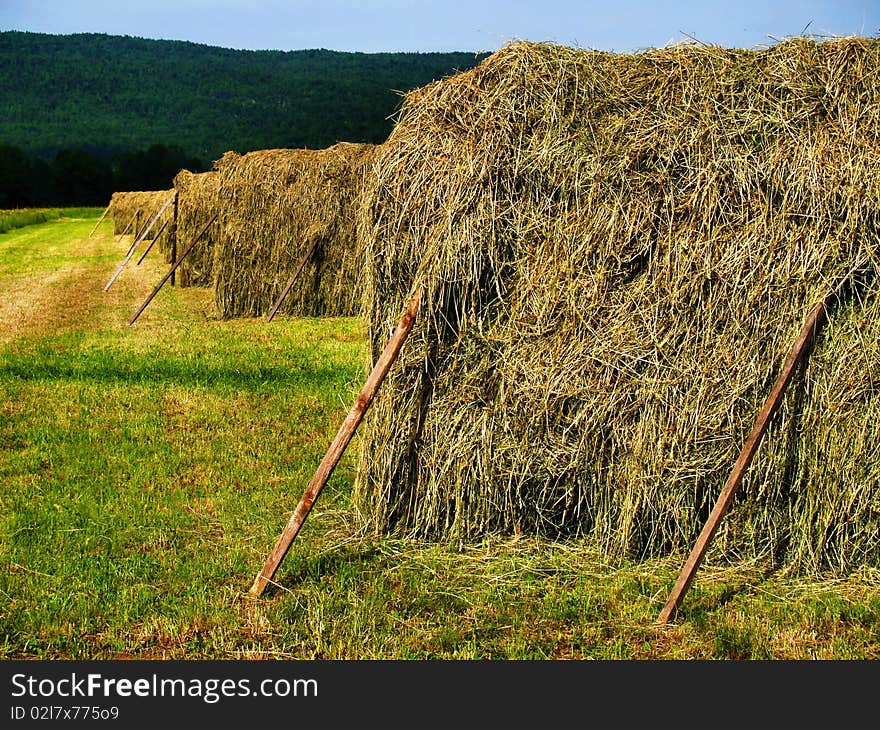 Farming