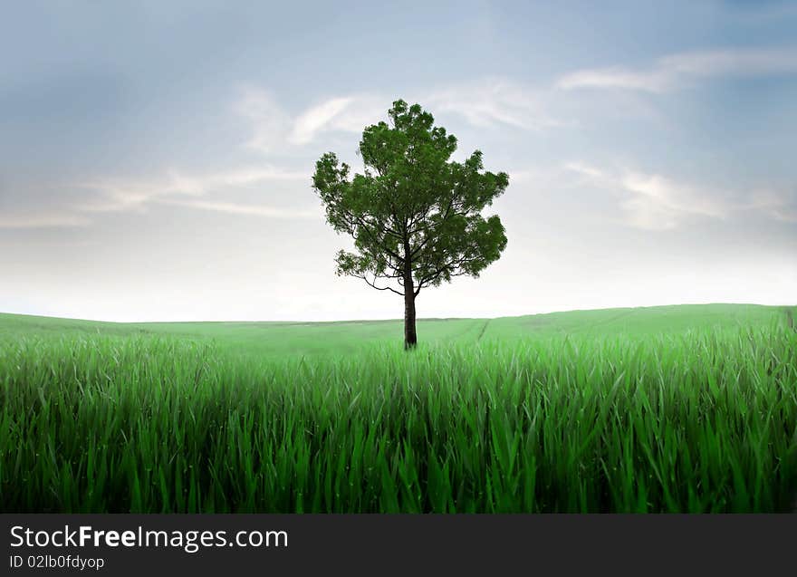 View of a tree on a green meadow