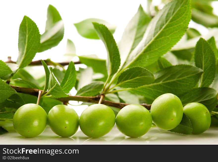 Growing green fruits isolated on the white