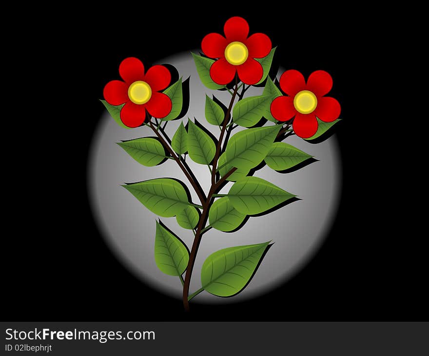 Red flowers on a black background