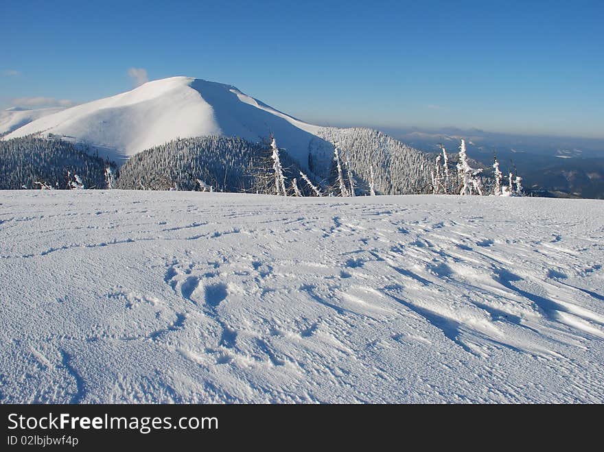 Winter White Mountain.