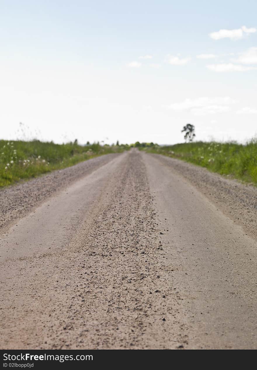 Dirt Road at summertime with short focal depth