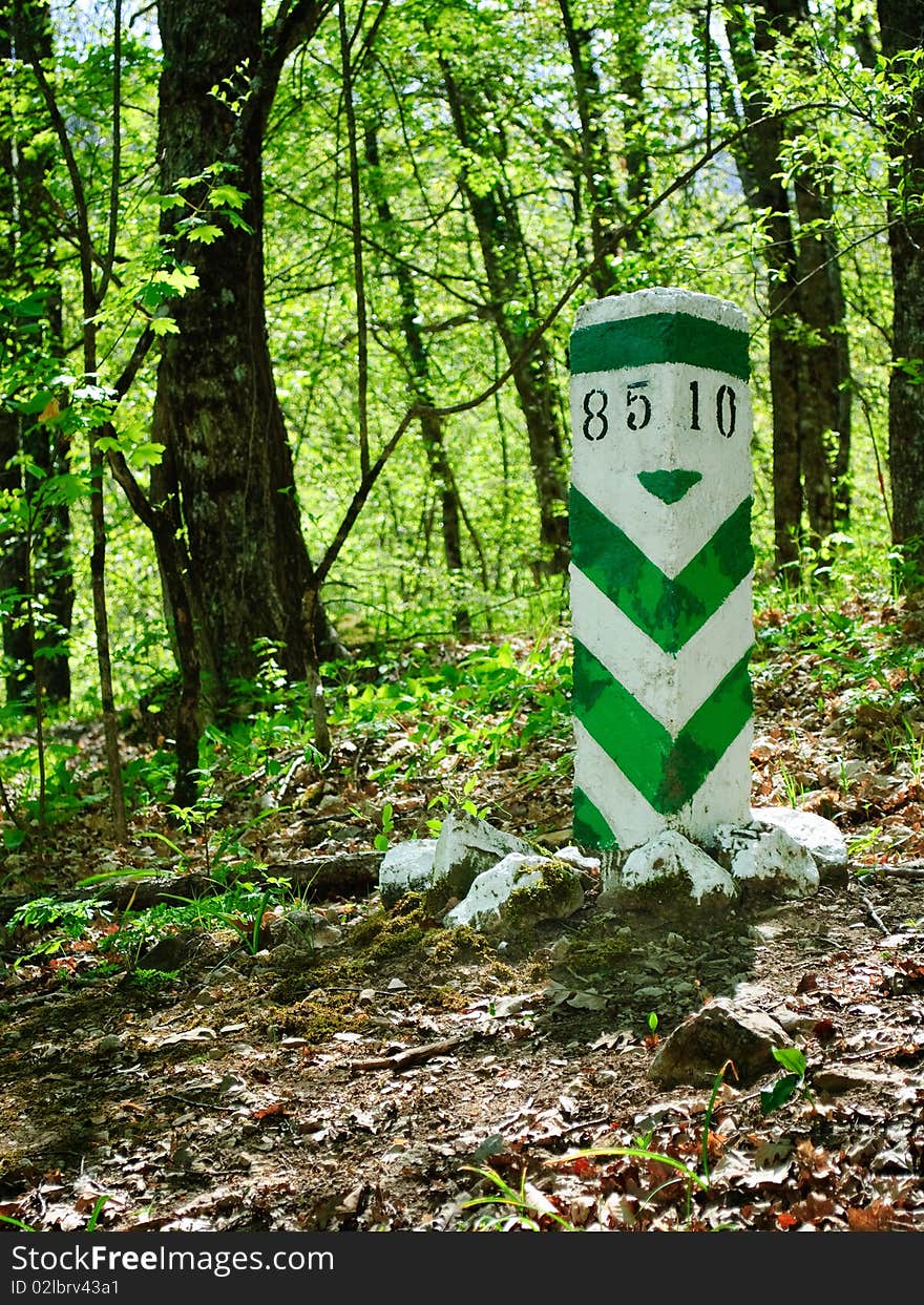 Green striped border marker in the forest