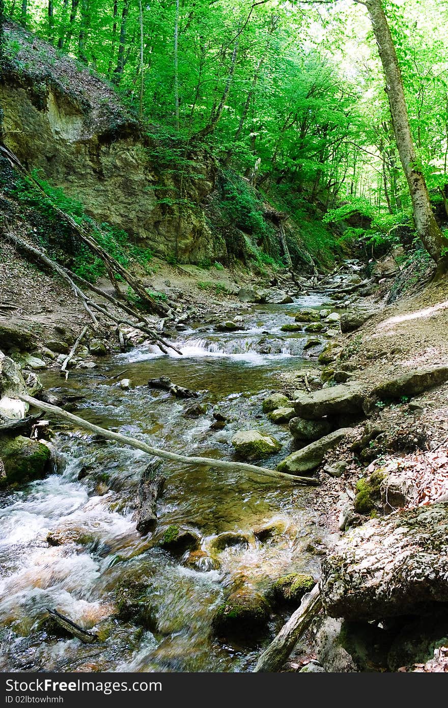 Mountain stream