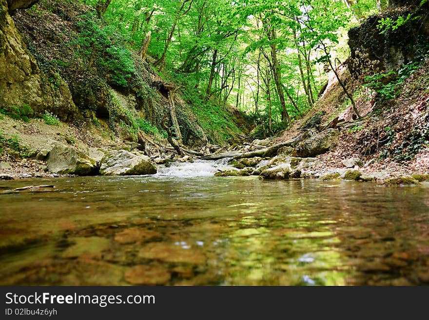 Mountain Spring