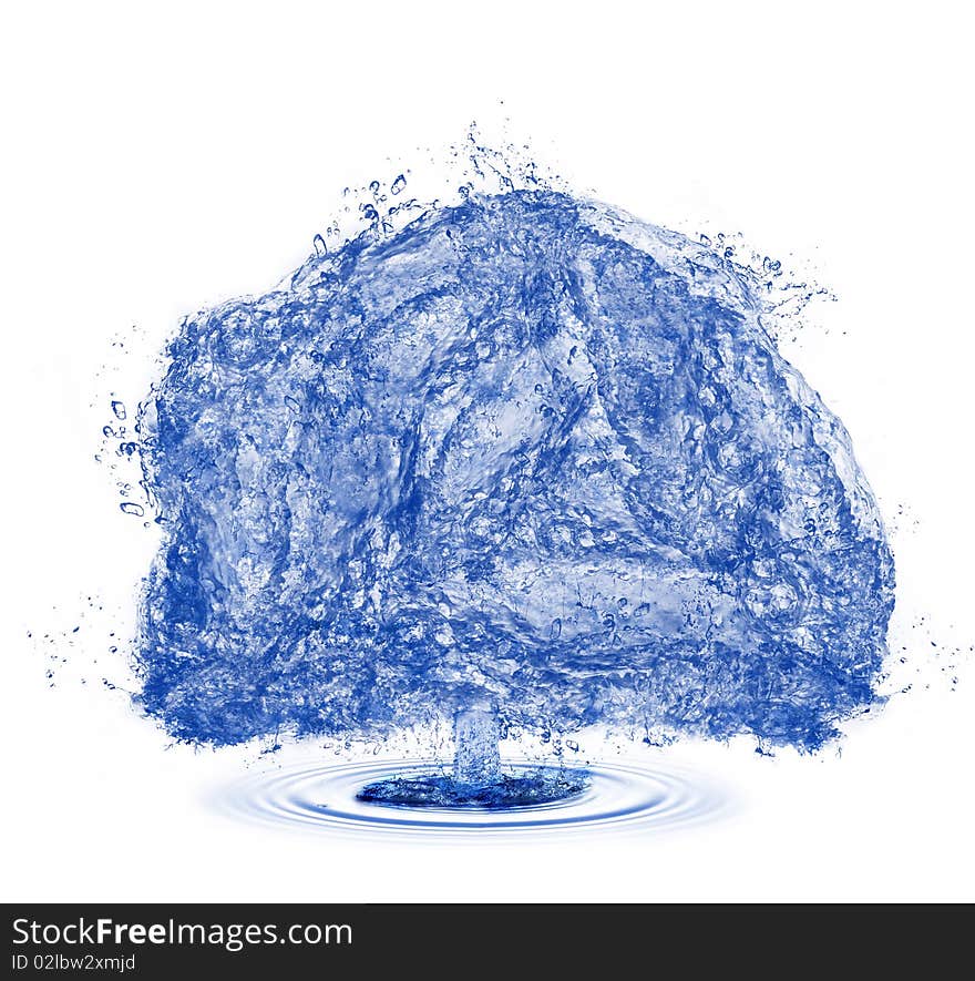 Isolated Water Tree On White, Symbol