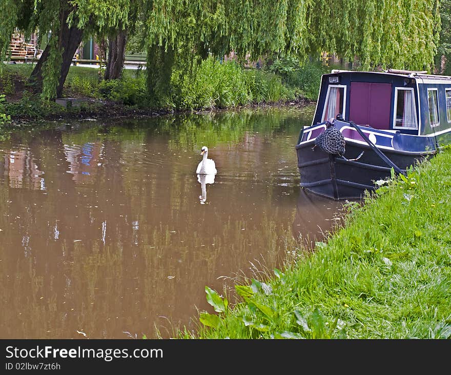 Swan And Canal Barge