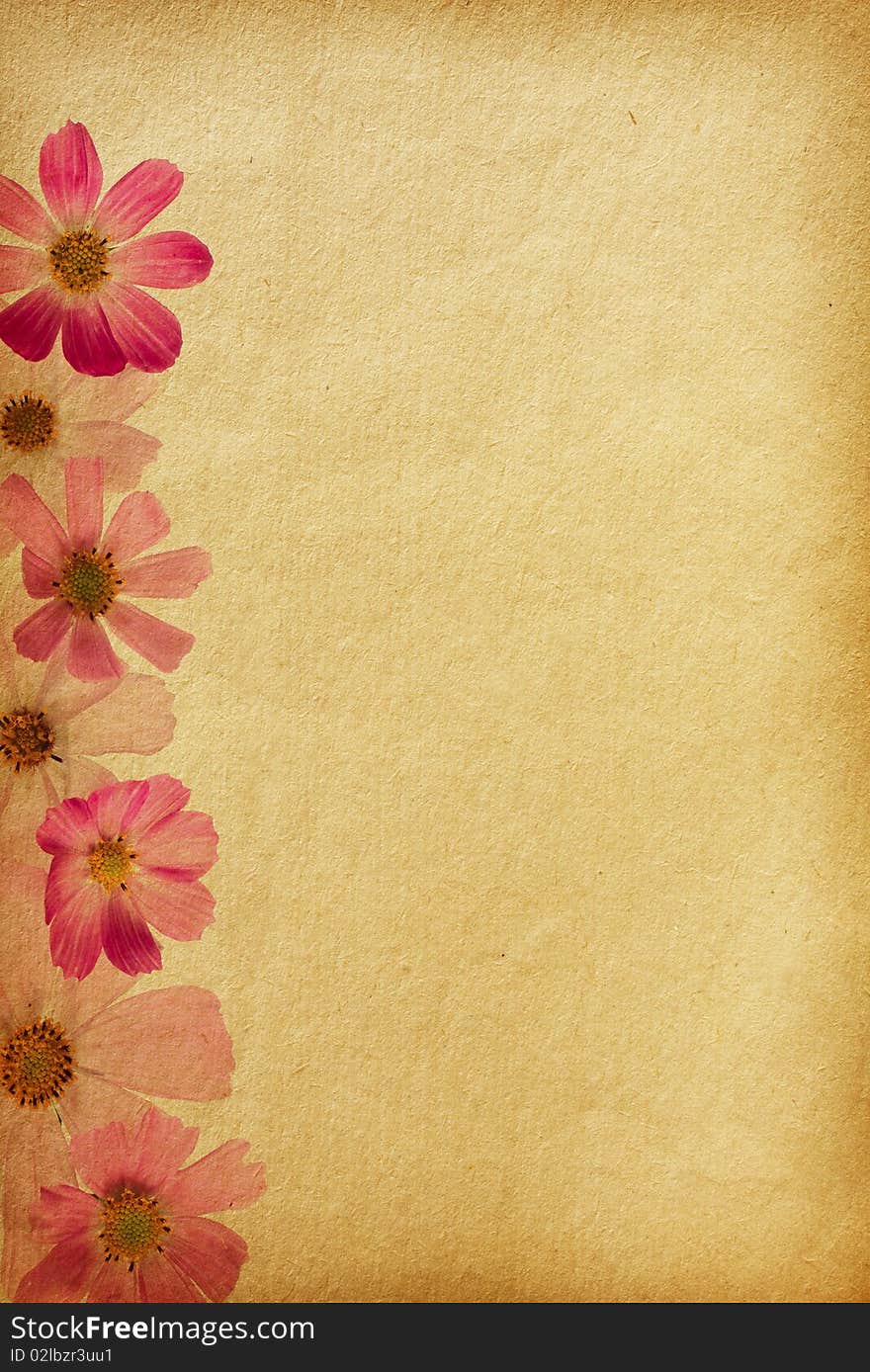 Vintage  paper textures. Floral background with space for text or image.