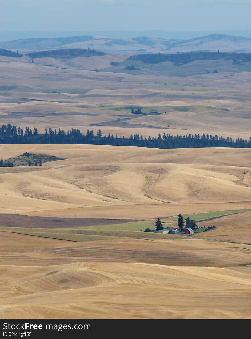 A photo of a tiny farm, lost in the vastness of the wheat farms of the Palouse, Washington. A photo of a tiny farm, lost in the vastness of the wheat farms of the Palouse, Washington