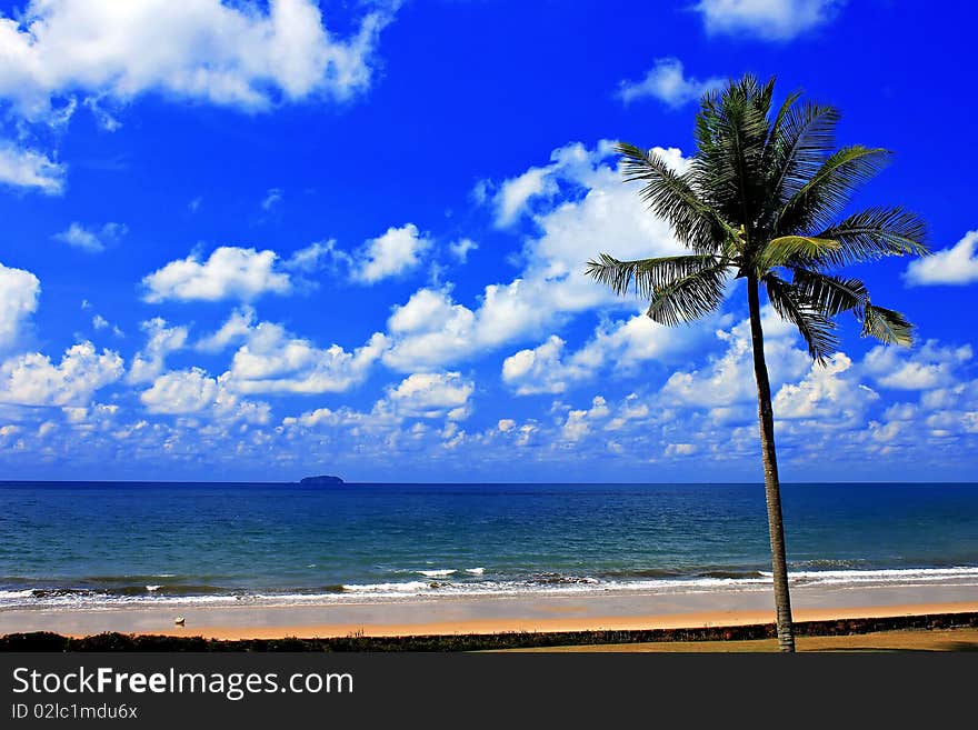 Blue sky thailand