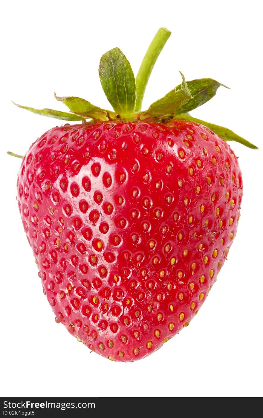 One strawberry macro shot isolated over white background