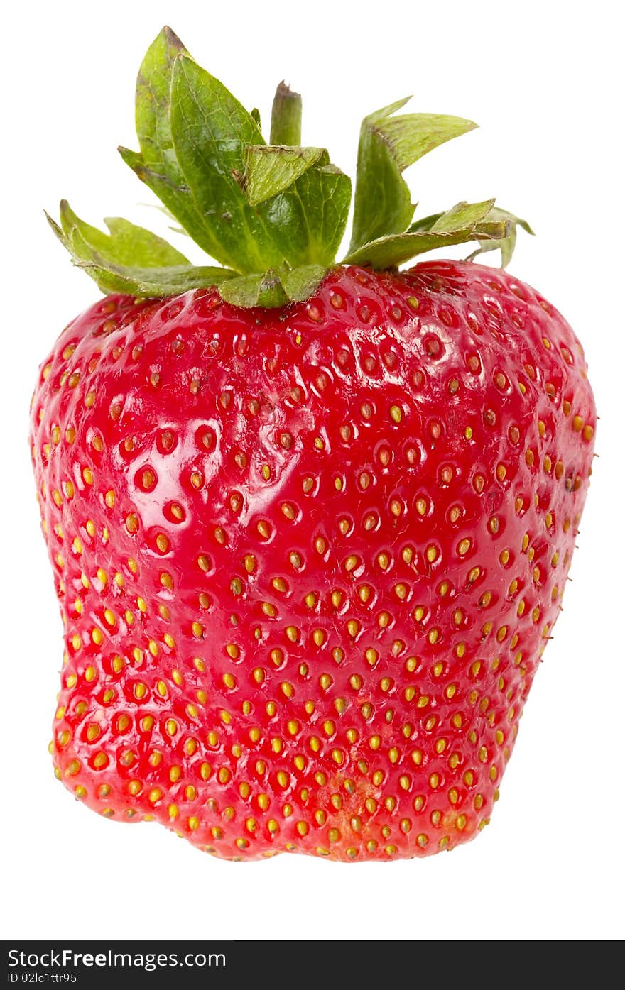 One strawberry macro shot isolated over white background