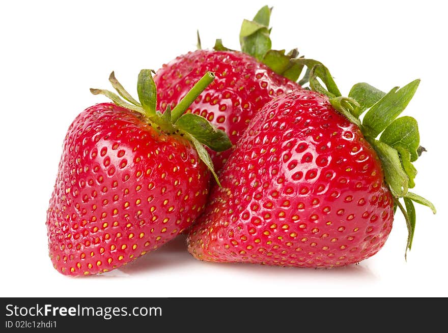 Three strawberries macro shot isolated over white background