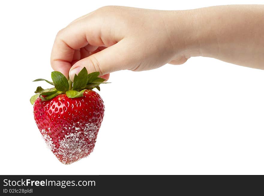 Ripe strawberry in sugar hanging on child's fingers  isolated over white background. Ripe strawberry in sugar hanging on child's fingers  isolated over white background