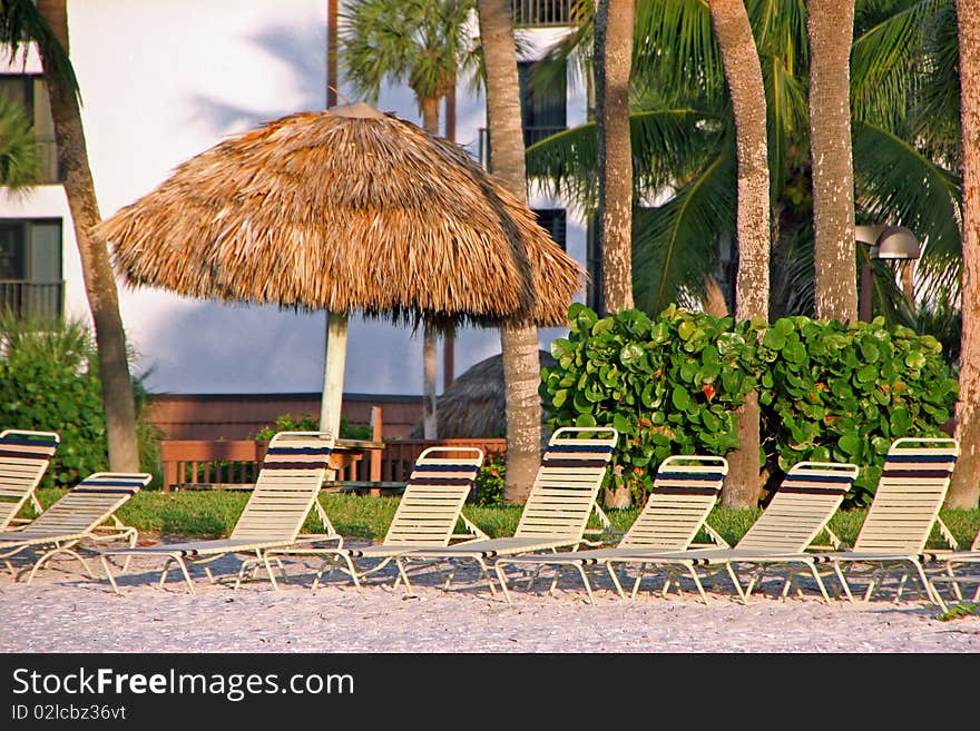 Beach Chairs