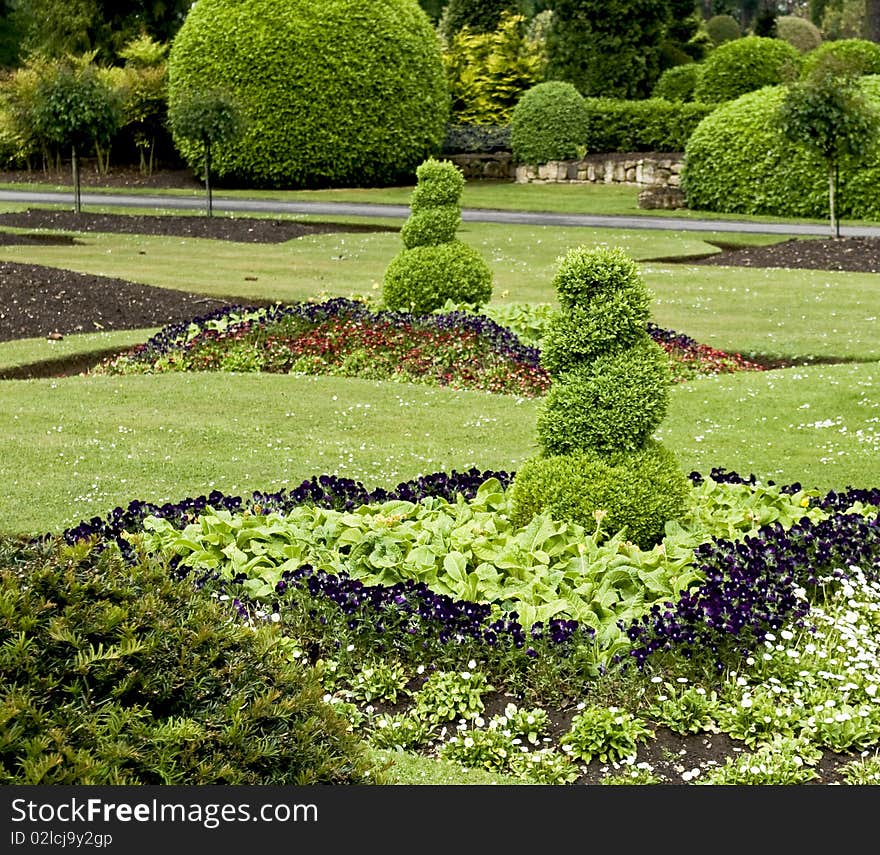 Sculpted shrubs