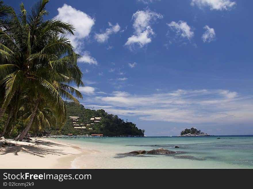 Beautiful island coastline with white sand, palm trees and baby blue water. Beautiful island coastline with white sand, palm trees and baby blue water