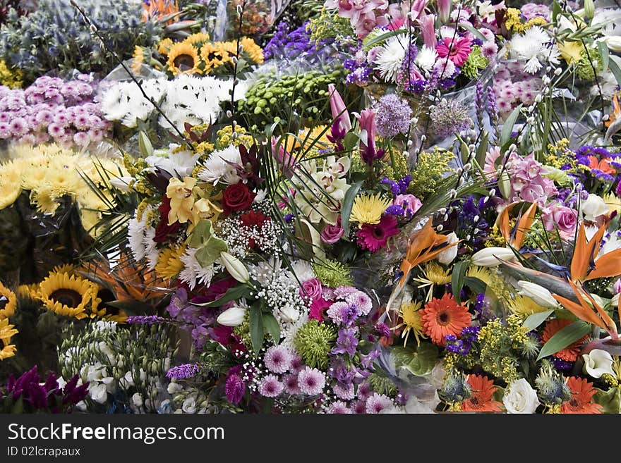 A background of a very colorful flower stall with different types of blooms. A background of a very colorful flower stall with different types of blooms