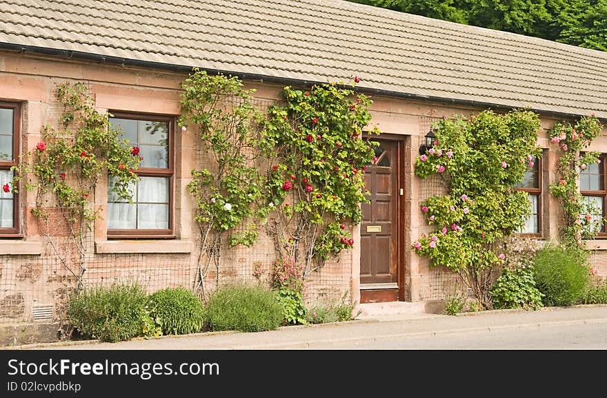 Cottage with roses round the door.