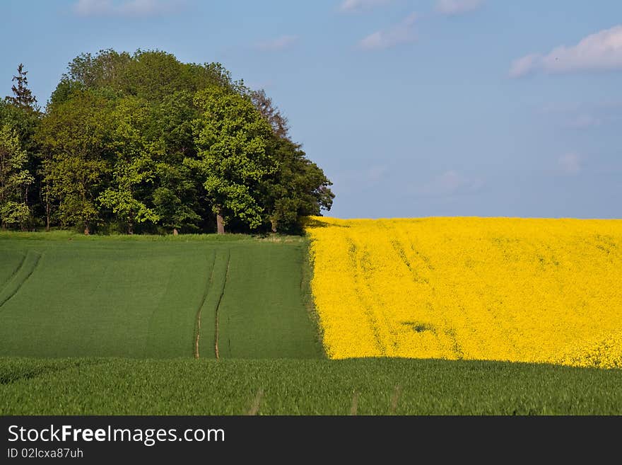 Landscape with coloured surfaces fields