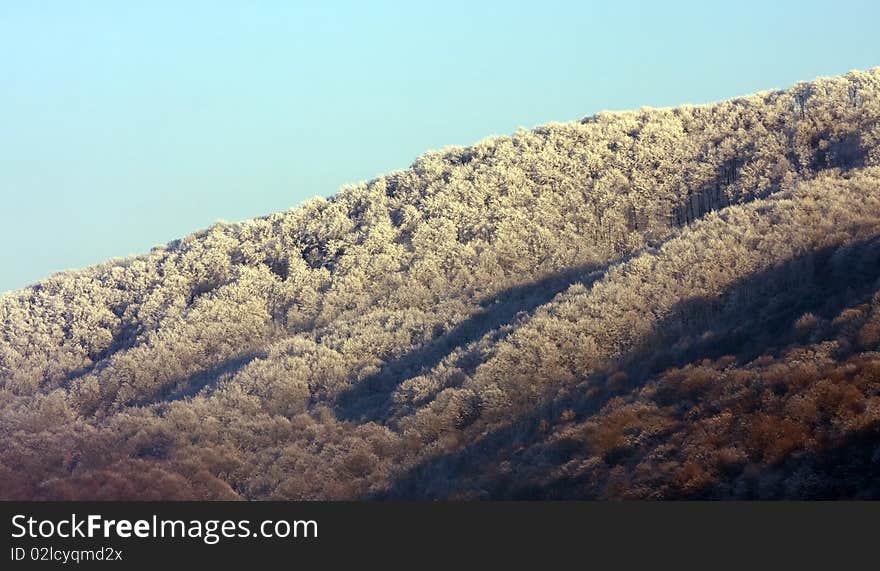 Cold winter morning landscape of frosted forest