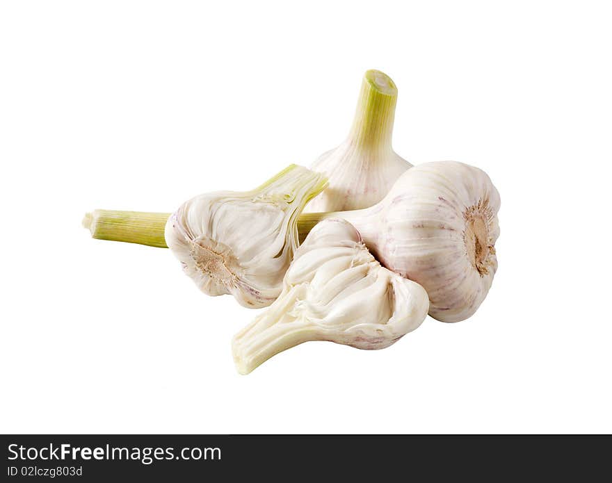 Garlic