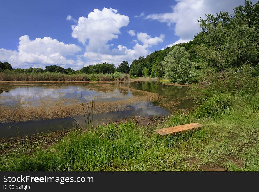 Picturesque pond in a park surrounded by the woods. Picturesque pond in a park surrounded by the woods