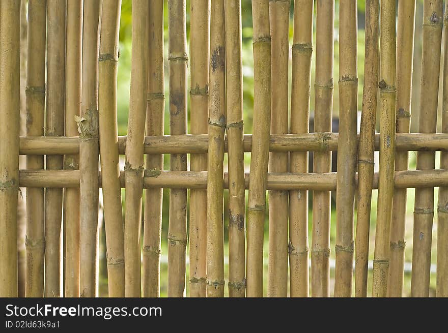 Bamboo wood background