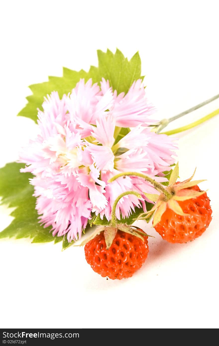 Fresh and tasty strawberries isolated on white background