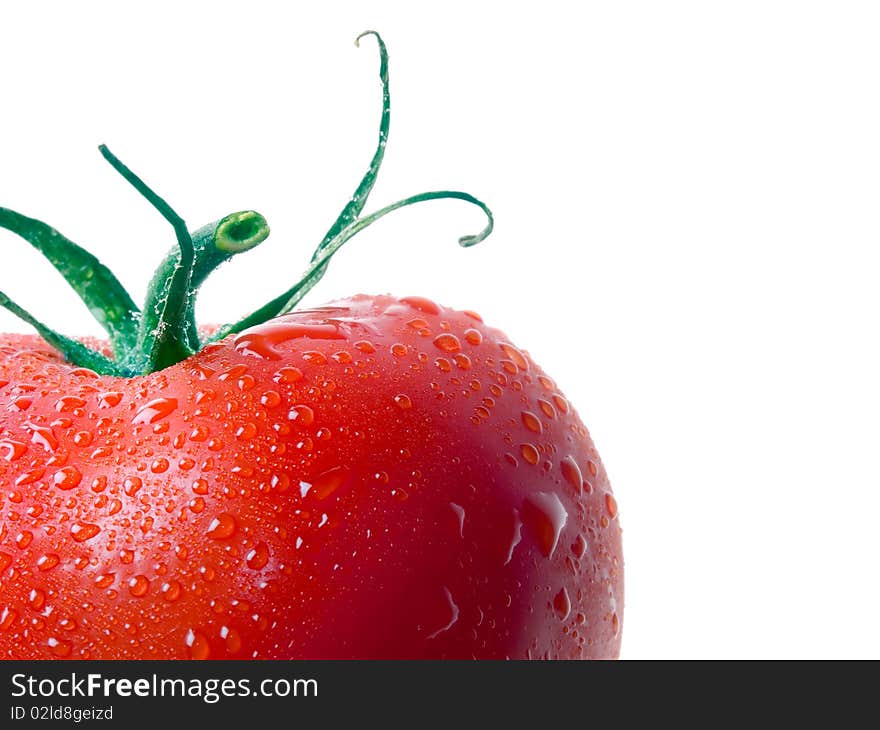 Wet tomato isolated on white background. Wet tomato isolated on white background.