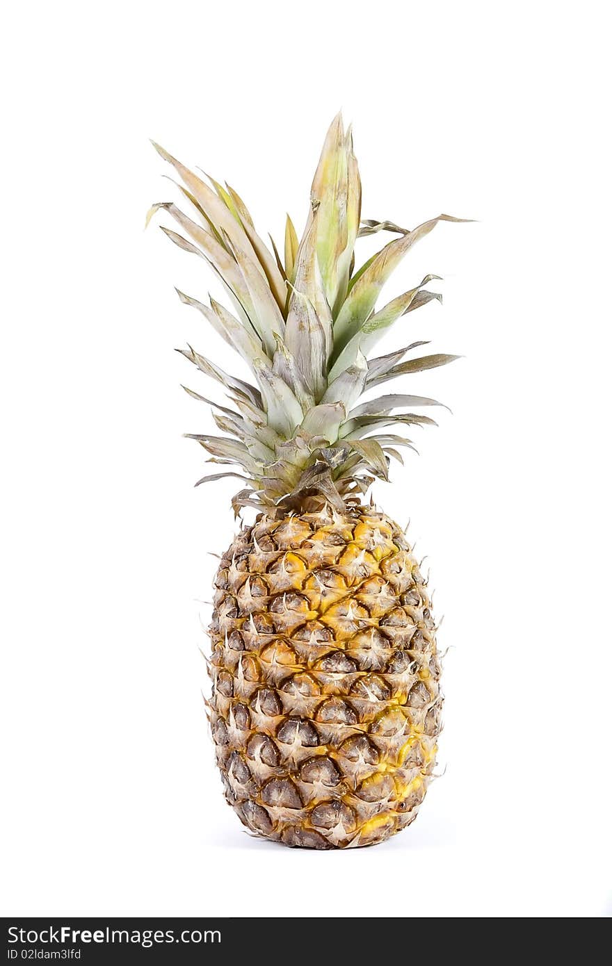 Ripe and tasty pineapple over the white background