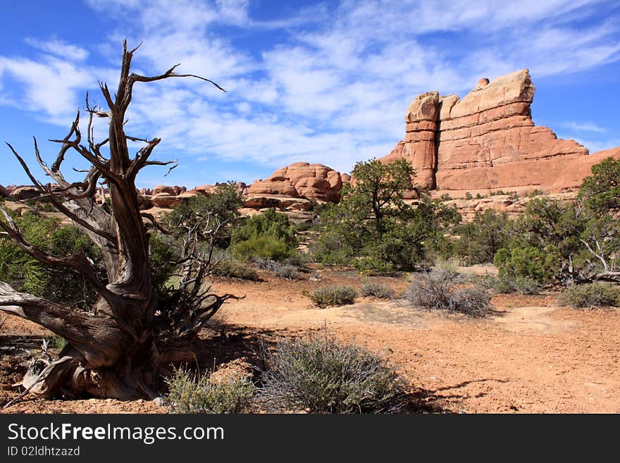 Canyon Lands National Park Needles District