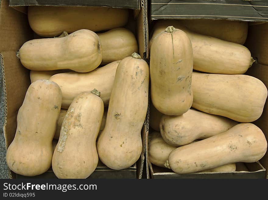 Large butternut squashes in cardboard boxes