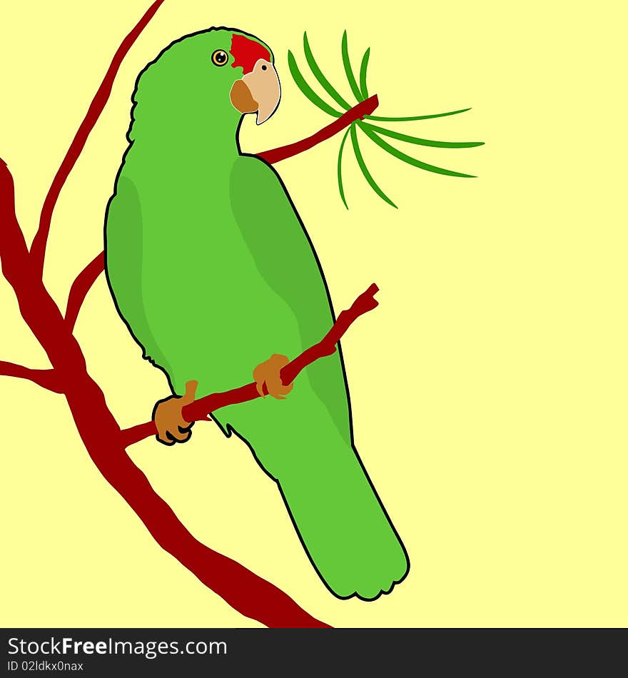 Vector red crowned amazon parrot