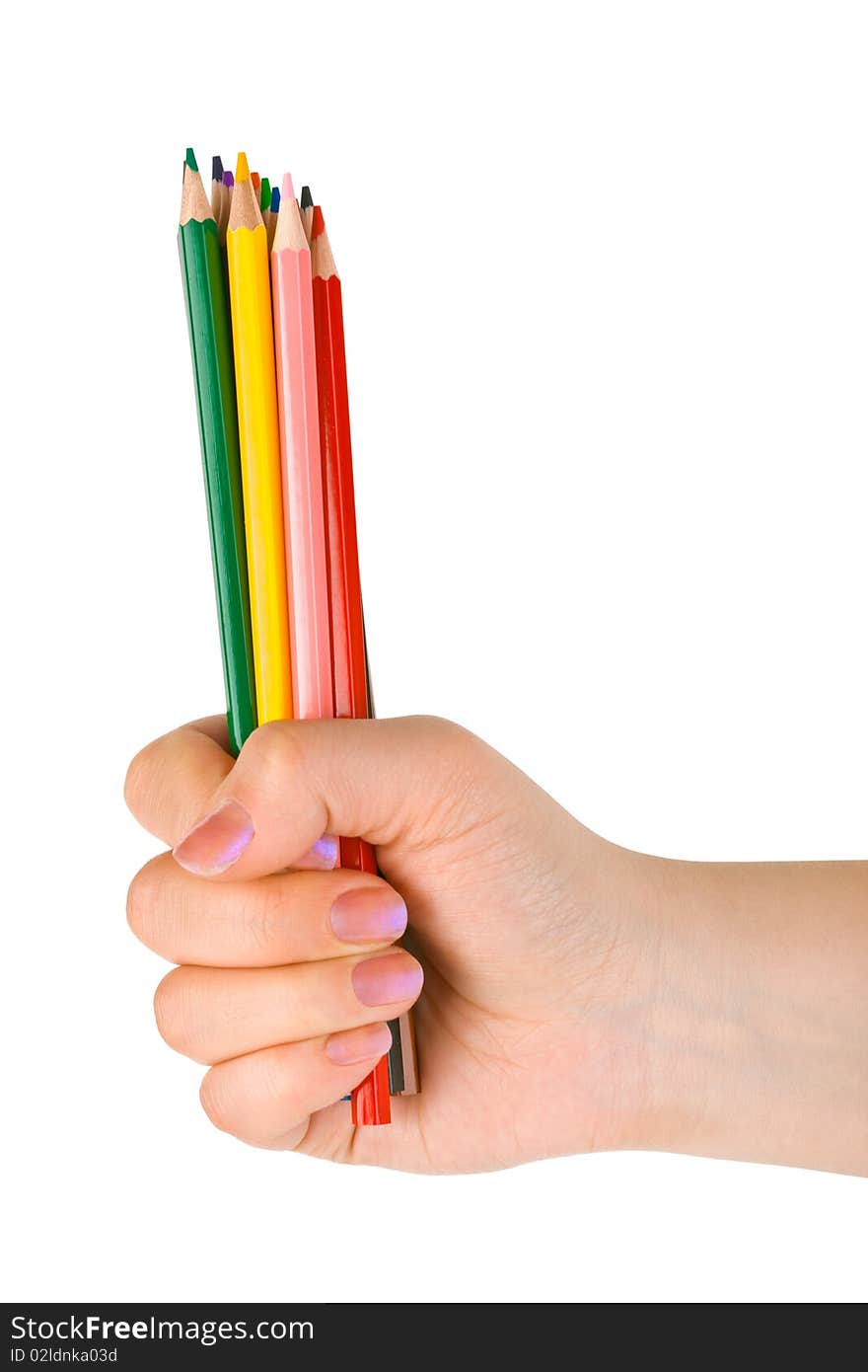 Hand with multicolored pencils isolated on white background