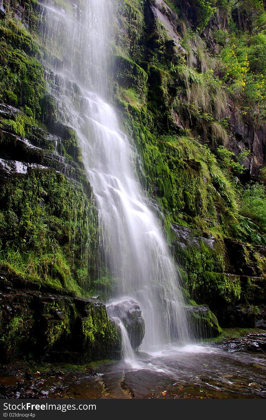 Waterfall on a background of lush green vegetation