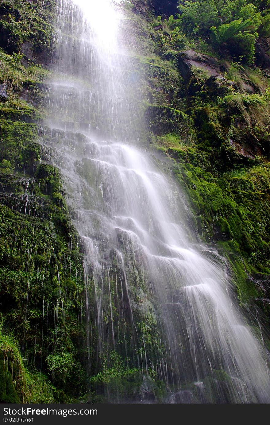 Waterfall on a background of lush green vegetation