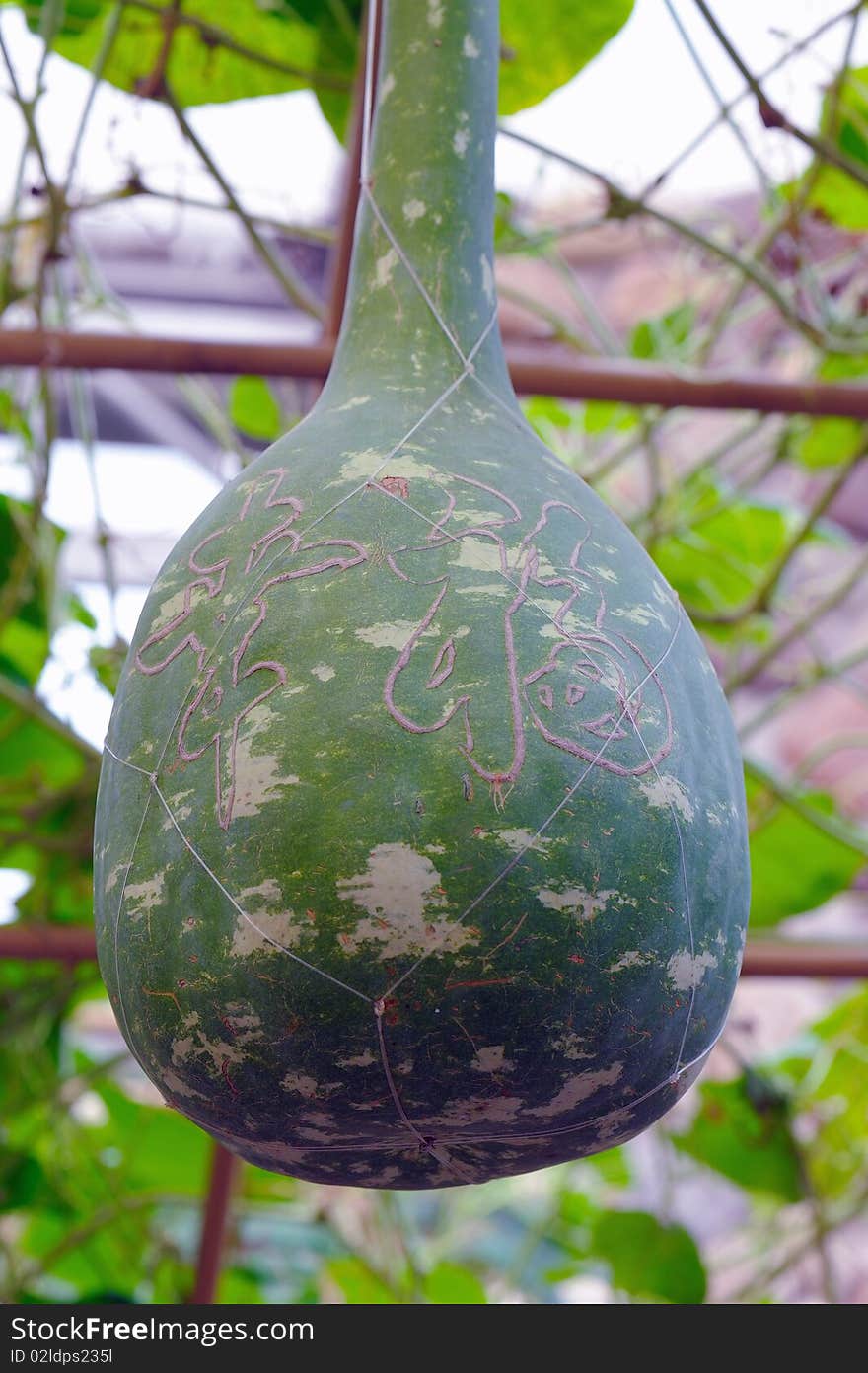 The pumpkin that up engraves to have Chinese characters