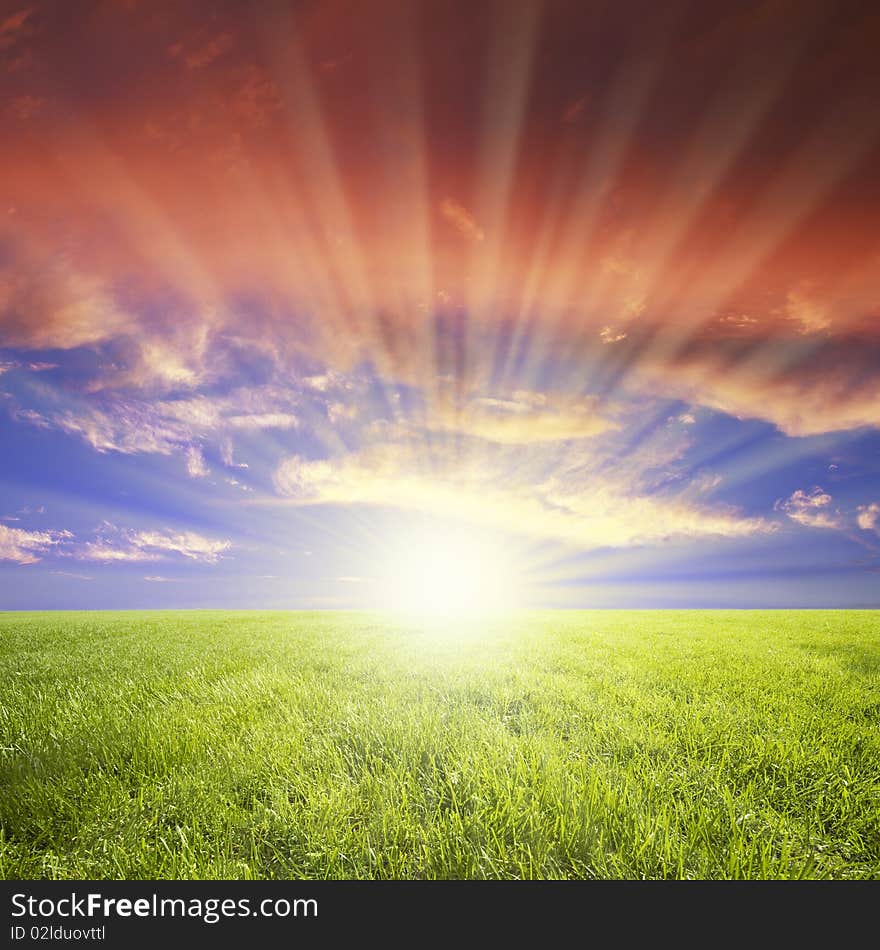 Green field and blue sky