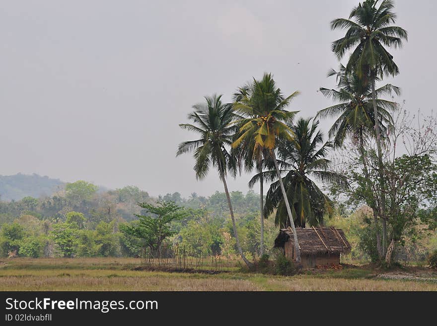 Traditional farm hut in a Sri Lankan Village